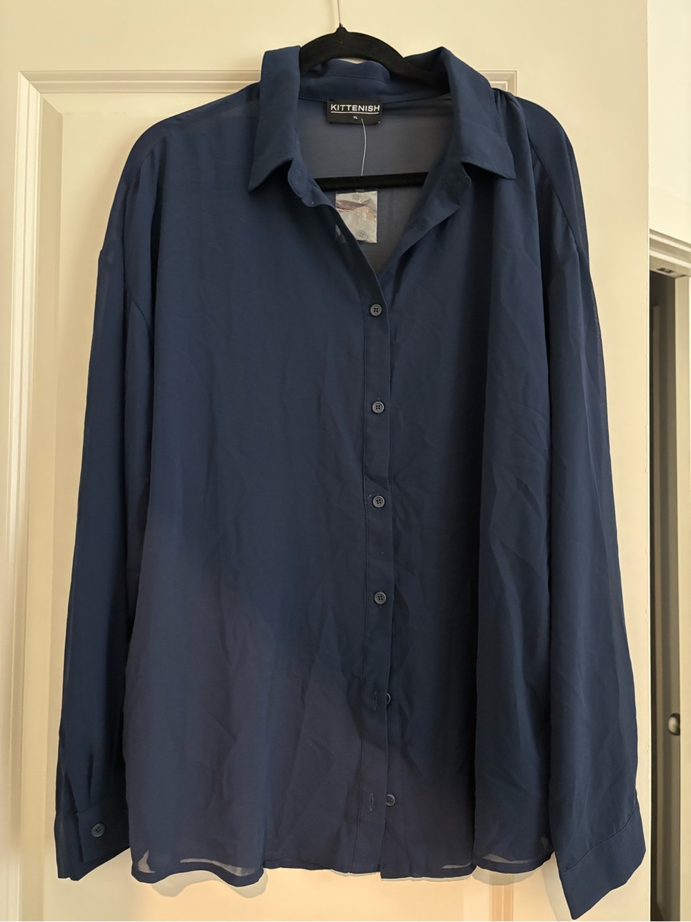 Kittenish Navy Button-Down Sheer Blouse